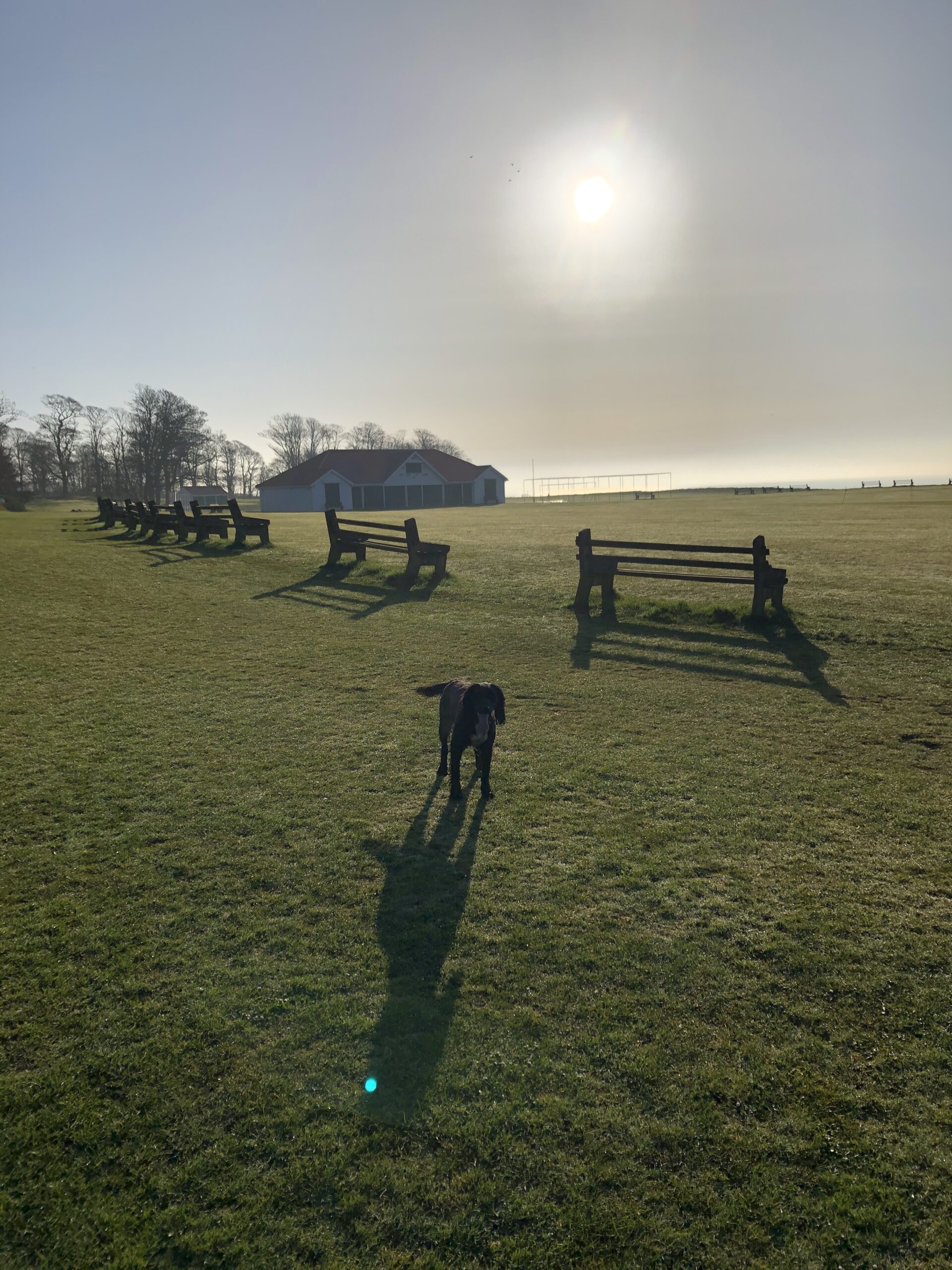 Cricket Pitch at Sewerby