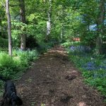 Nature Trail in Sewerby Hall 30metres from Roccos Lodge
