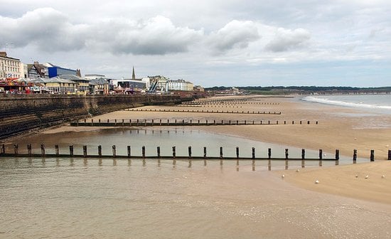 Nellys Nest